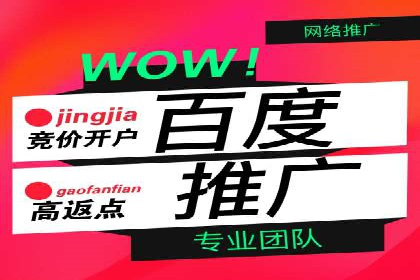 SEM推广案例：竞价代运营实战解析